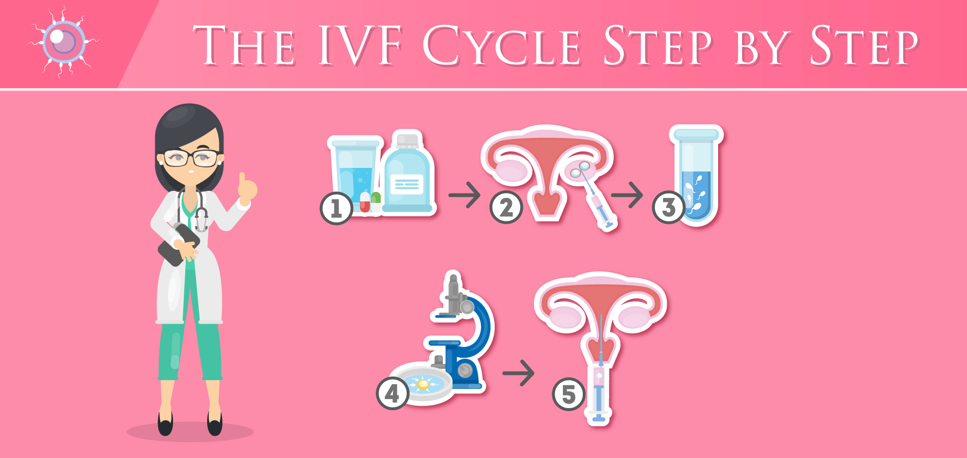 IVF Cycle Step by Step