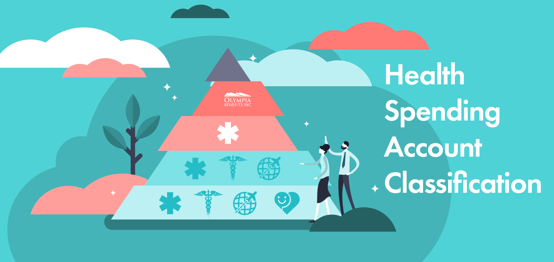 Health Spending Account Classification